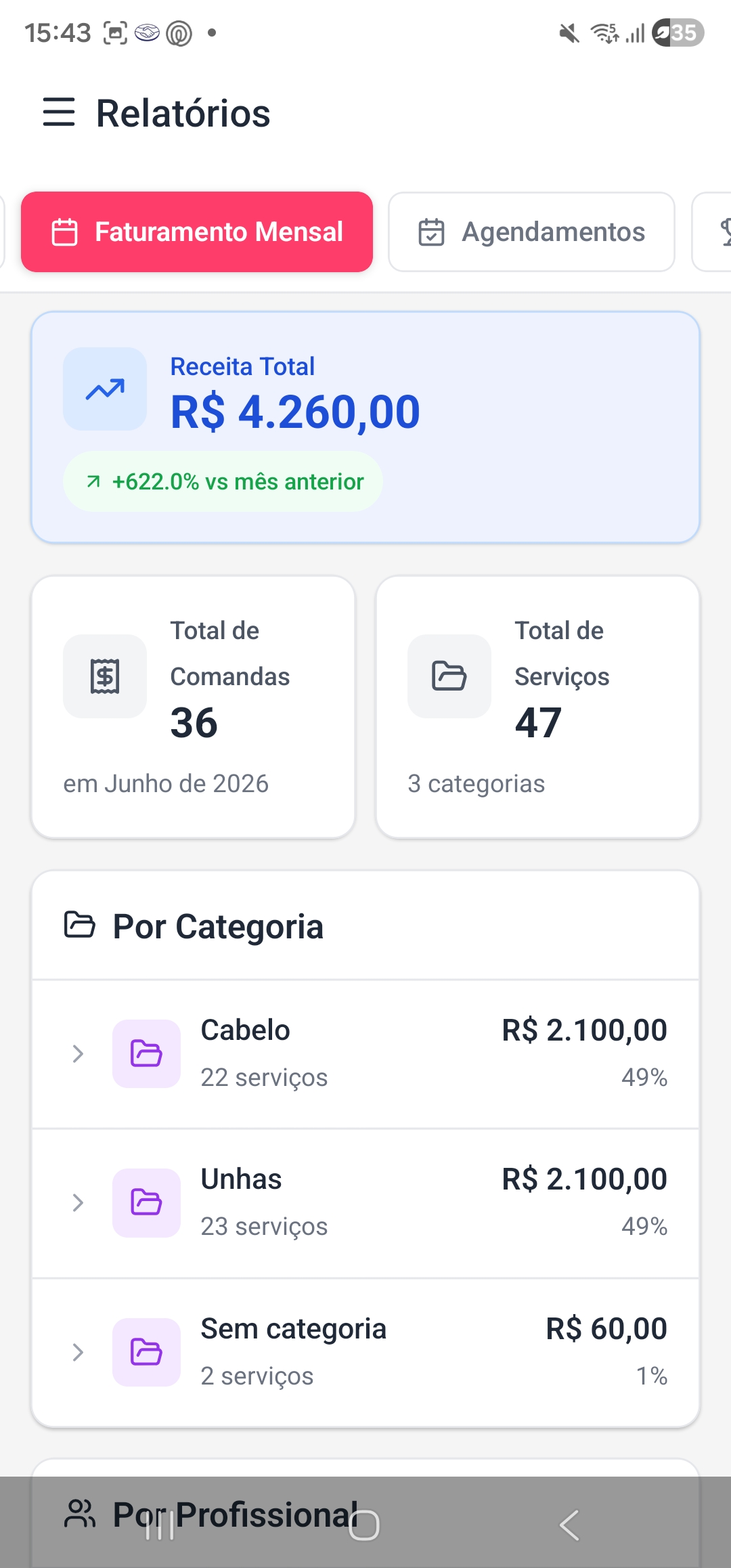 Relatório de faturamento mensal por categoria